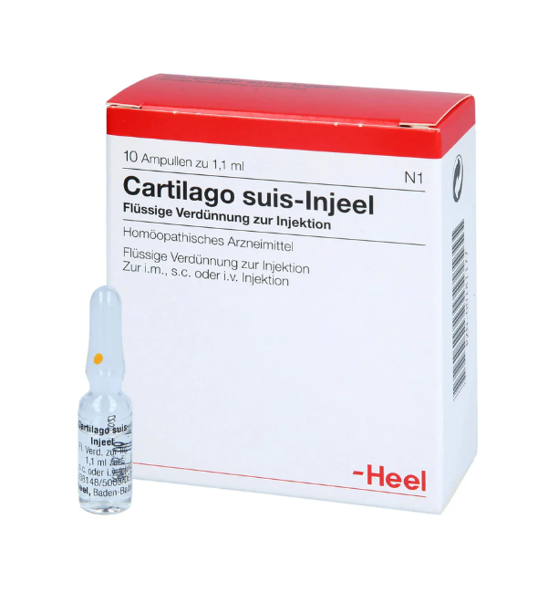 Cartilago Suis 10 Amps