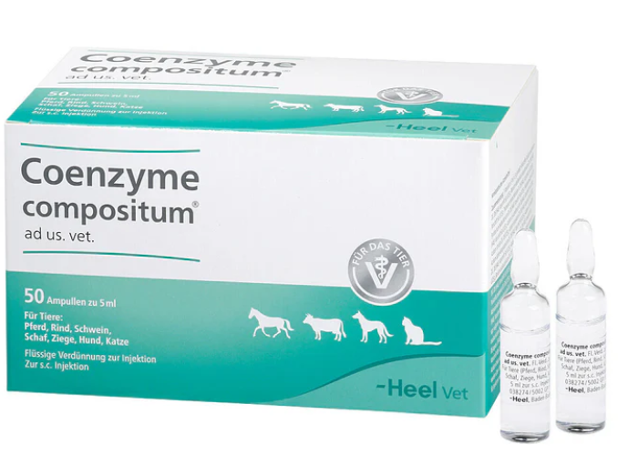 Co Enzyme Compositum ad.us.vet. 5ml 50 amps (Vet)
