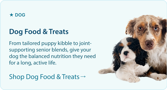 Dog food and treats