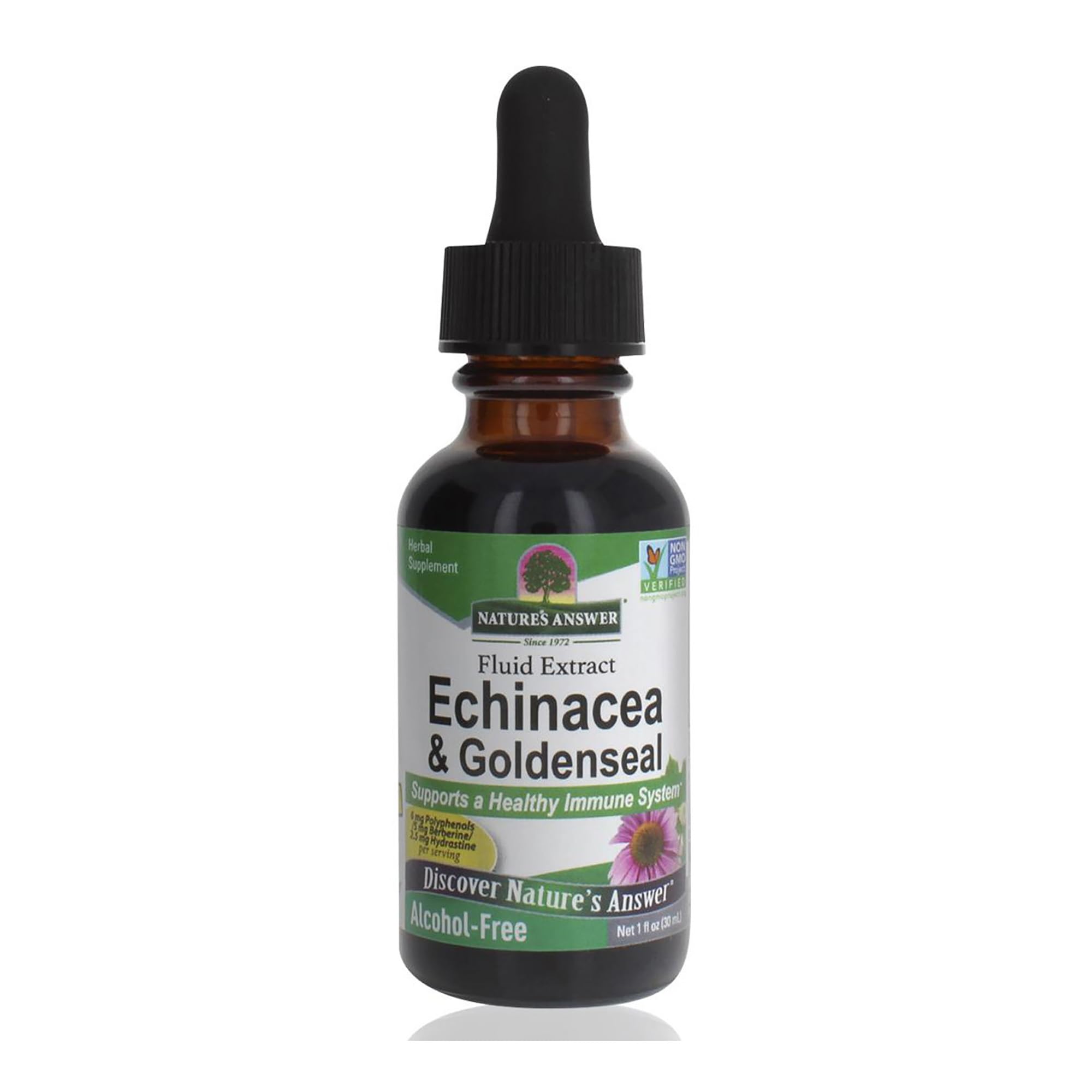 Echinacea & Goldenseal (Alcohol-Free) 30ml