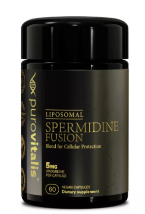 Liposomal Spermidine Fusion – 60 Capsules