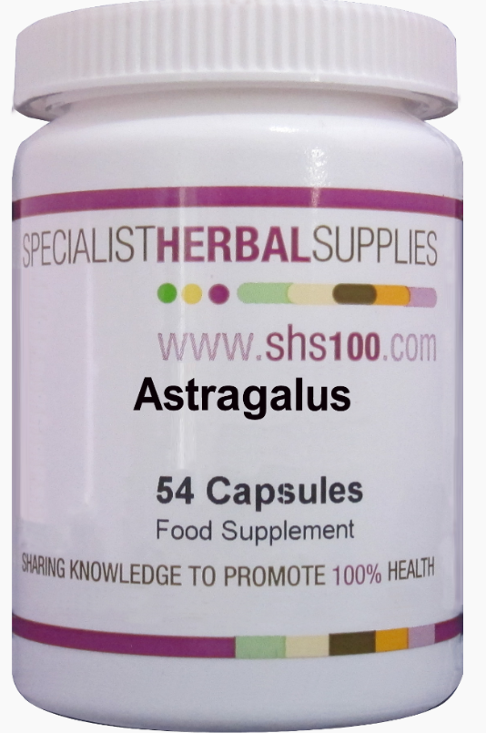Astragalus Capsules 54's