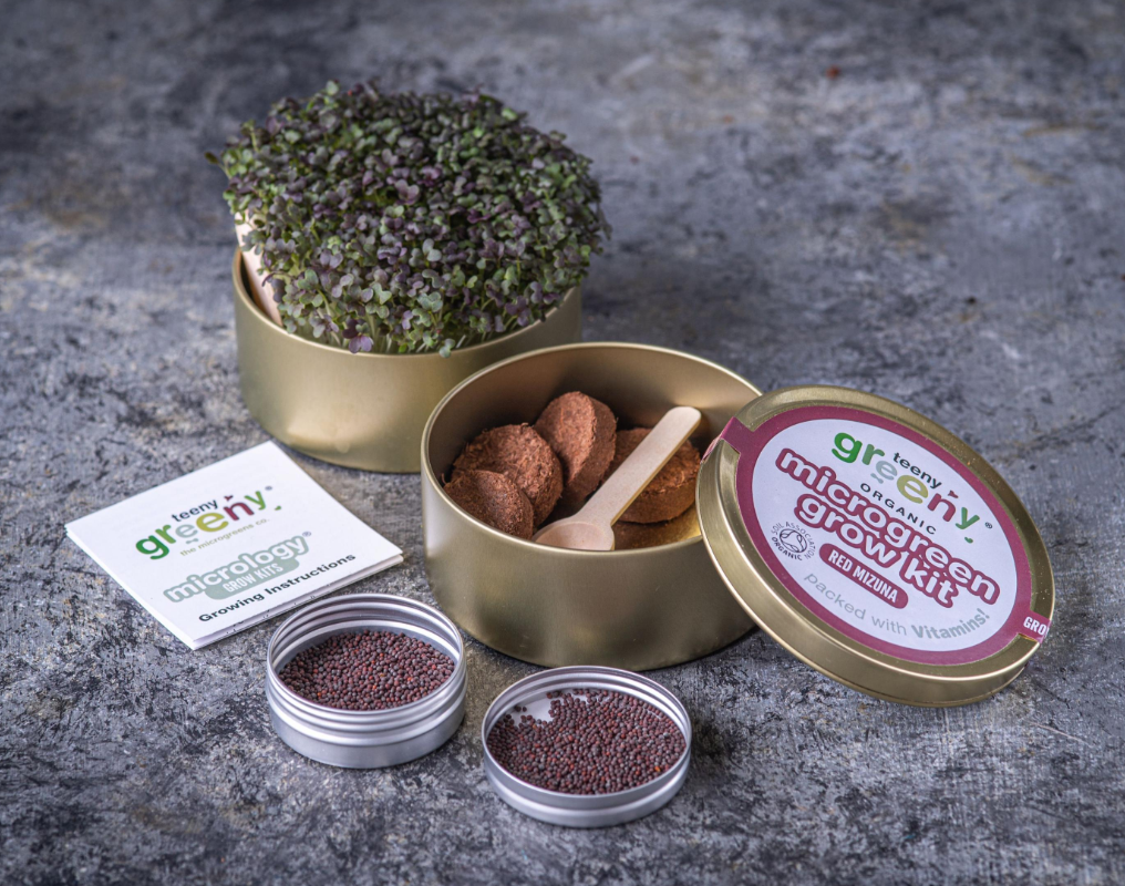 Organic Microgreen Grow Kit (Red Mizuna)