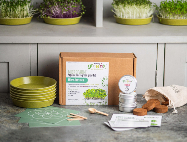 Microfarm Organic Microgreen Grow Kit 'Micro-Brassica' (Red Cabbage, Broccoli, Kale)