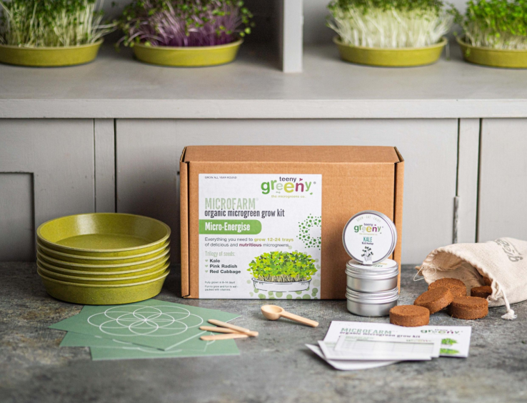 Microfarm Organic Microgreen Grow Kit 'Micro-Energise' (Kale, Pink Radish, Red Cabbage)